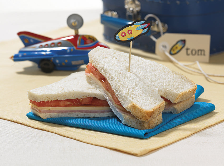 Space Shuttle Sandwich